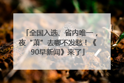 全国入选、省内唯一，夜“萧”去哪不发愁！《90早新闻》来了