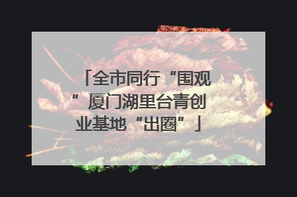 全市同行“围观”厦门湖里台青创业基地“出圈”