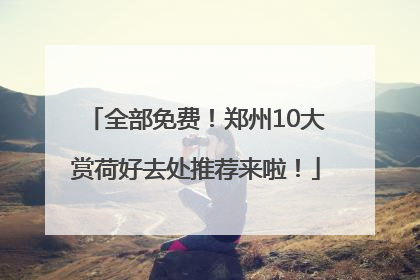 全部免费！郑州10大赏荷好去处推荐来啦！