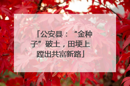 公安县：“金种子”破土，田埂上蹚出共富新路