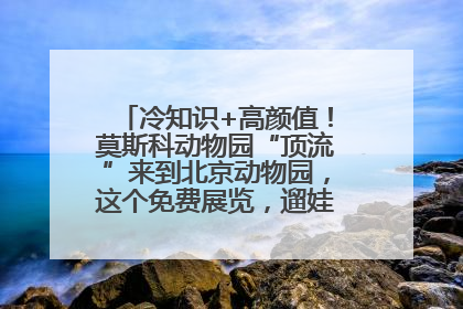 冷知识+高颜值！莫斯科动物园“顶流”来到北京动物园，这个免费展览，遛娃拍照两不误！