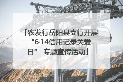 农发行岳阳县支行开展“6·14信用记录关爱日” 专题宣传活动