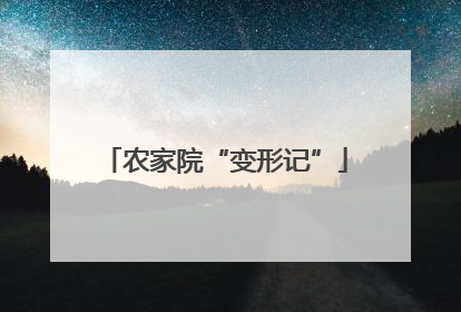 农家院“变形记”