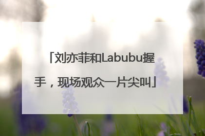 刘亦菲和Labubu握手，现场观众一片尖叫