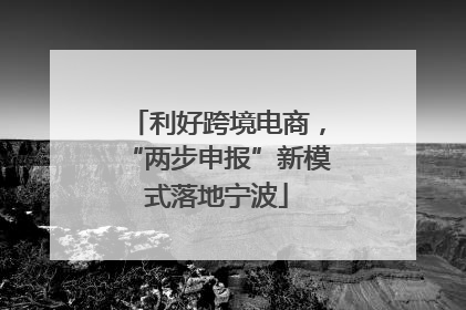 利好跨境电商，“两步申报”新模式落地宁波