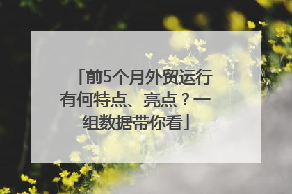 前5个月外贸运行有何特点、亮点？一组数据带你看