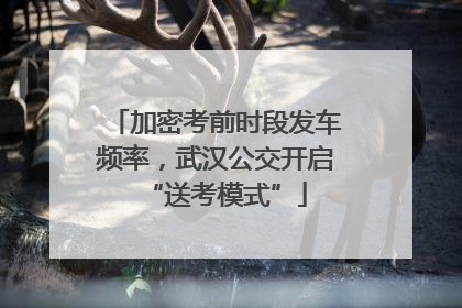 加密考前时段发车频率，武汉公交开启“送考模式”