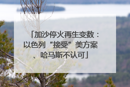 加沙停火再生变数：以色列“接受”美方案、哈马斯不认可
