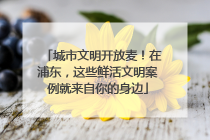 城市文明开放麦！在浦东，这些鲜活文明案例就来自你的身边