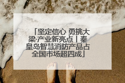 坚定信心 勇挑大梁·产业新亮点丨秦皇岛智慧消防产品占全国市场超四成