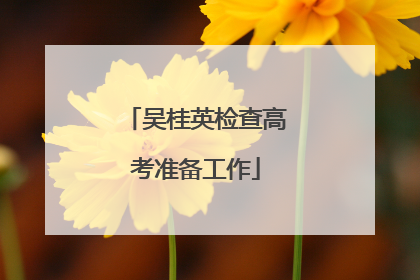 吴桂英检查高考准备工作