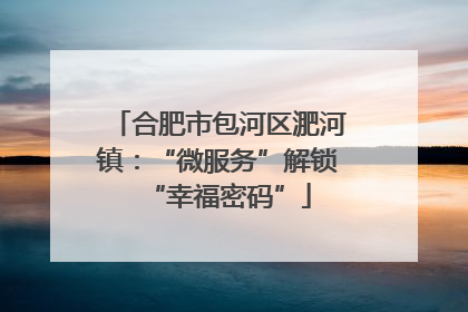 合肥市包河区淝河镇：“微服务”解锁“幸福密码”