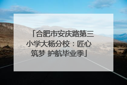 合肥市安庆路第三小学大杨分校：匠心筑梦 护航毕业季