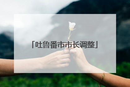 吐鲁番市市长调整