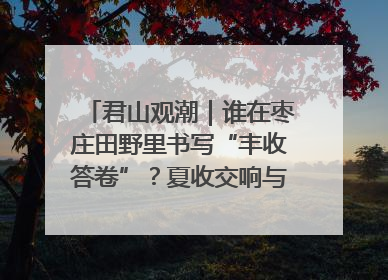 君山观潮｜谁在枣庄田野里书写“丰收答卷”？夏收交响与特色产业，共绘乡村振兴新图景