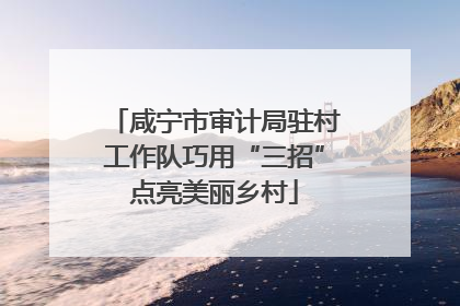 咸宁市审计局驻村工作队巧用“三招”点亮美丽乡村