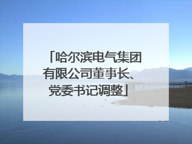 哈尔滨电气集团有限公司董事长、党委书记调整