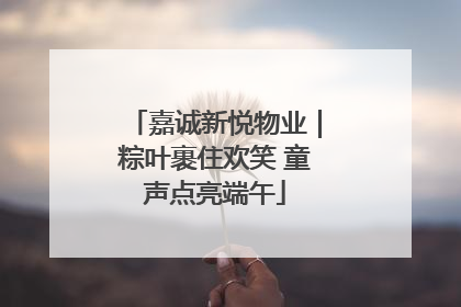 嘉诚新悦物业｜粽叶裹住欢笑 童声点亮端午