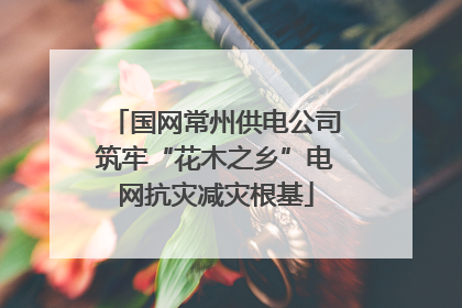 国网常州供电公司筑牢“花木之乡”电网抗灾减灾根基