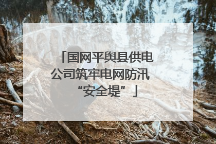 国网平舆县供电公司筑牢电网防汛“安全堤”
