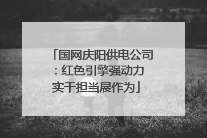 国网庆阳供电公司：红色引擎强动力 实干担当展作为