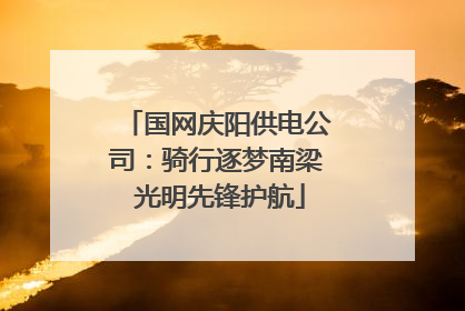 国网庆阳供电公司：骑行逐梦南梁 光明先锋护航
