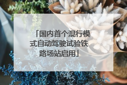 国内首个混行模式自动驾驶试验铁路场站启用