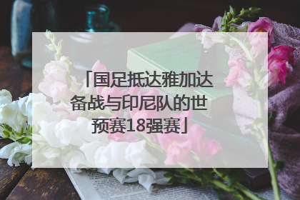 国足抵达雅加达备战与印尼队的世预赛18强赛