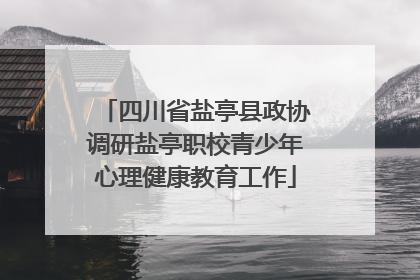 四川省盐亭县政协调研盐亭职校青少年心理健康教育工作