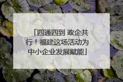 四通四到 政企共行！福建这场活动为中小企业发展赋能