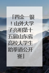 四金一银！山外大学子亮相第十五届山东省高校大学生跆拳道公开赛