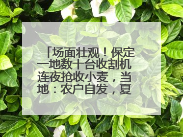 场面壮观！保定一地数十台收割机连夜抢收小麦，当地：农户自发，夏收工作基本完成