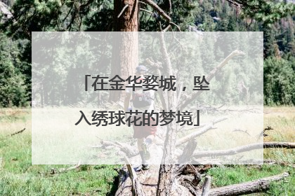 在金华婺城，坠入绣球花的梦境