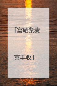 富硒紫麦喜丰收