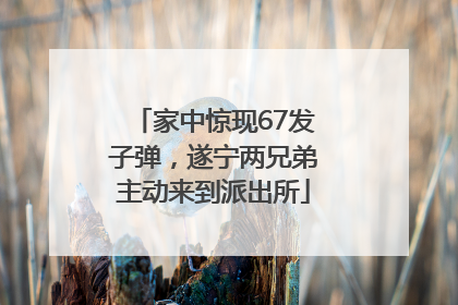 家中惊现67发子弹，遂宁两兄弟主动来到派出所