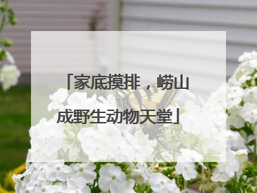 家底摸排，崂山成野生动物天堂