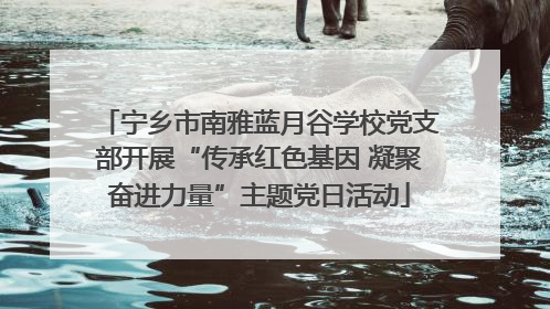 宁乡市南雅蓝月谷学校党支部开展“传承红色基因 凝聚奋进力量”主题党日活动