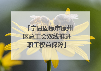 宁夏固原市原州区总工会双线推进职工权益保障