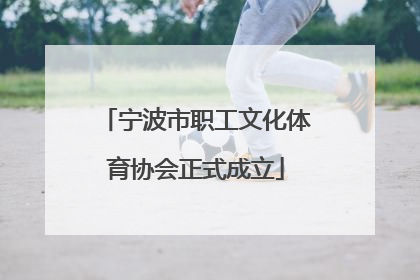 宁波市职工文化体育协会正式成立