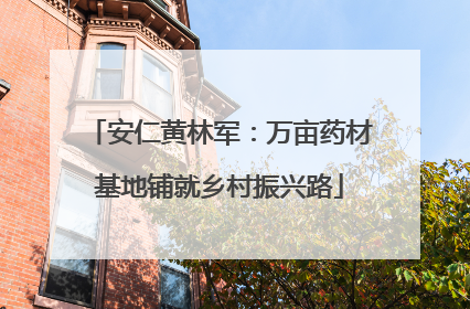 安仁黄林军：万亩药材基地铺就乡村振兴路