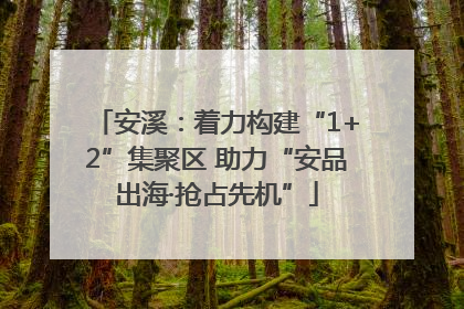 安溪：着力构建“1+2”集聚区 助力“安品出海·抢占先机”