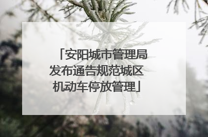 安阳城市管理局发布通告规范城区机动车停放管理