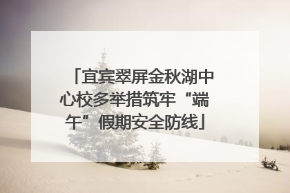 宜宾翠屏金秋湖中心校多举措筑牢“端午”假期安全防线