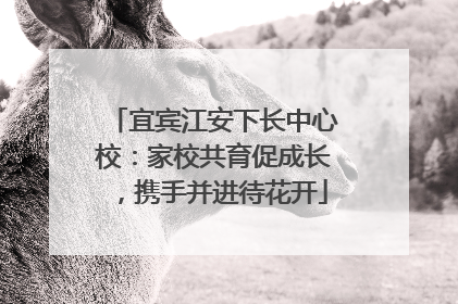宜宾江安下长中心校：家校共育促成长，携手并进待花开