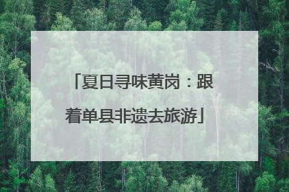 夏日寻味黄岗：跟着单县非遗去旅游