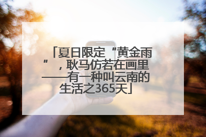 夏日限定“黄金雨”，耿马仿若在画里——有一种叫云南的生活之365天