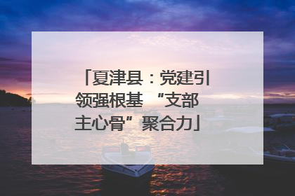 夏津县：党建引领强根基 “支部主心骨”聚合力