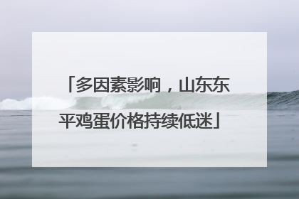 多因素影响，山东东平鸡蛋价格持续低迷