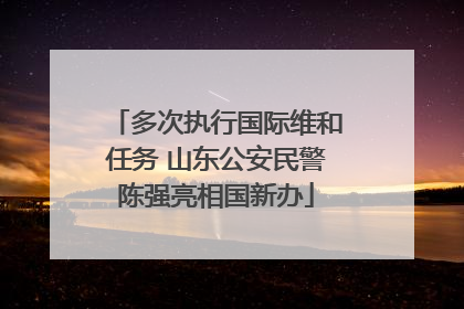 多次执行国际维和任务 山东公安民警陈强亮相国新办