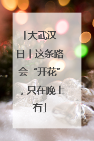 大武汉一日丨这条路会“开花”，只在晚上有
